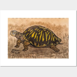 Ornate box turtle study Posters and Art